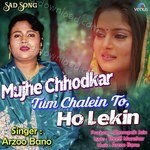Arzoo Bano Songs MP3 Download